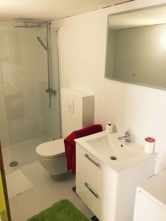 שיבניק Apartman Crnica מראה חיצוני תמונה